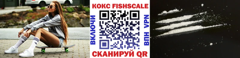 Купить закладки  Далматово  Cocaine Эквадор 