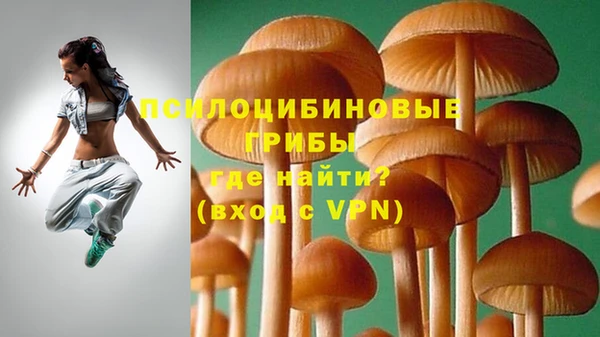 дурь Зерноград