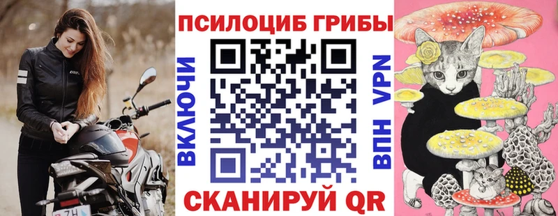 Псилоцибиновые грибы прущие грибы  Купить закладки  Далматово 